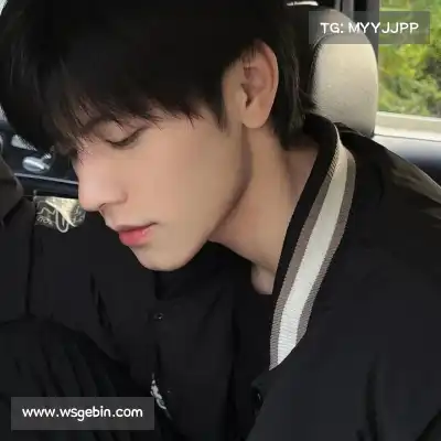 云维燕
